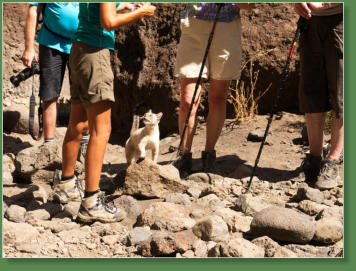 Wanderung durch die Masca-Schlucht, Teneriffa