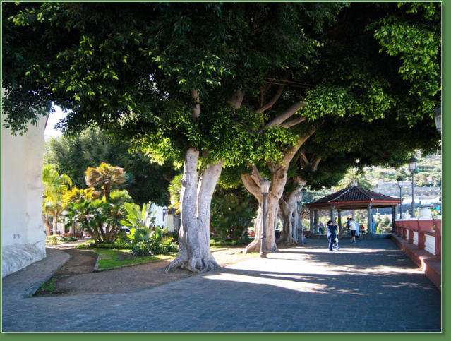 Icod de los Vinos, Teneriffa