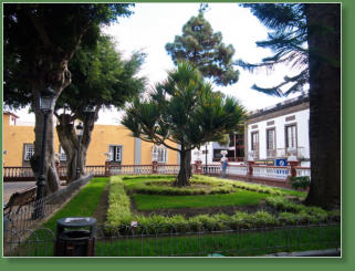 Icod de los Vinos, Teneriffa