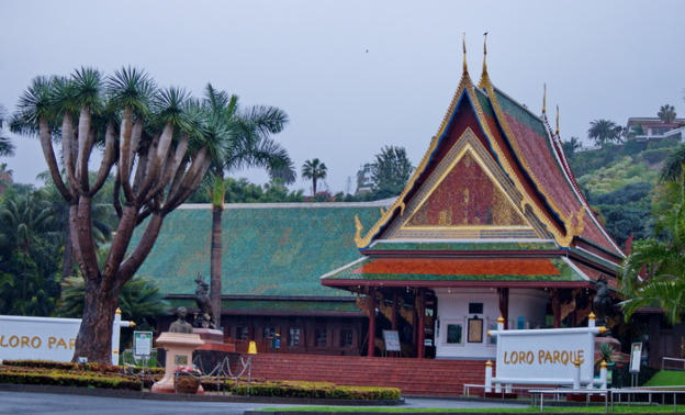Loro Parque- Puerto de la Cruz, Teneriffa