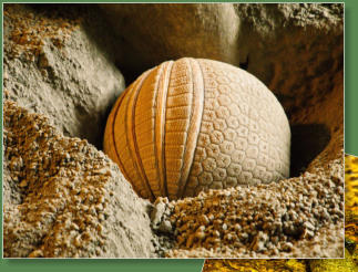 Loro Parque, Teneriffa