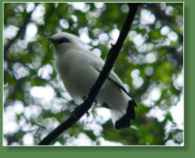 Loro Parque, Teneriffa