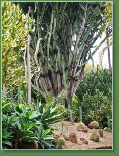 Loro Parque, Teneriffa