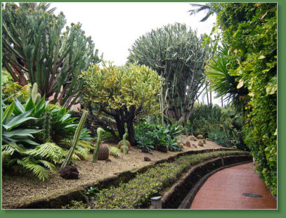 Loro Parque, Teneriffa