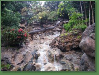 Loro Parque, Teneriffa