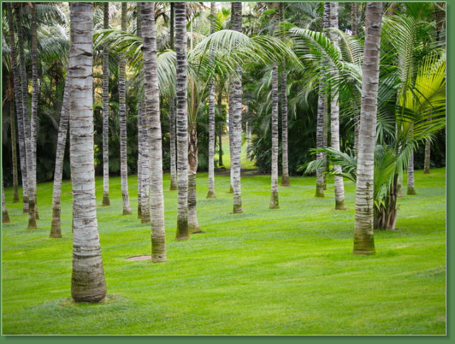 Loro Parque, Teneriffa