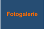 Fotogalerie