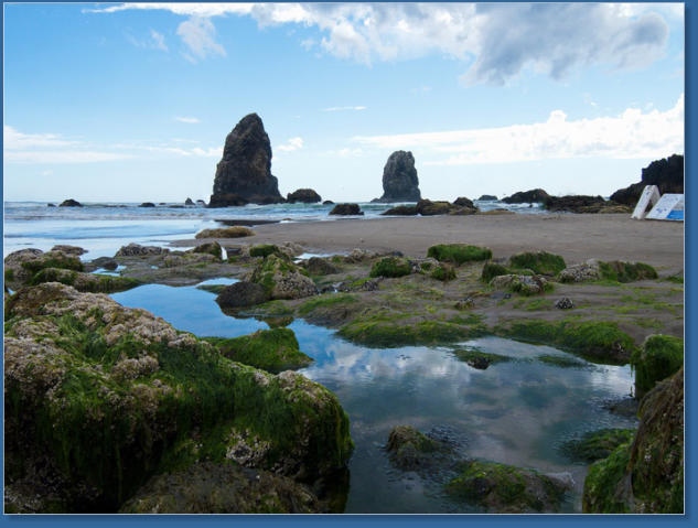Am Haystack Rock, Cannon Beach, OR