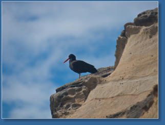 Hug Point State Park, OR