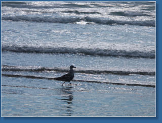 Hug Point State Park, OR
