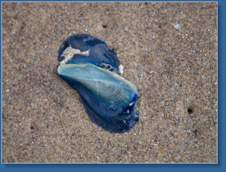 Hug Point State Park, OR