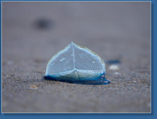Hug Point State Park, OR