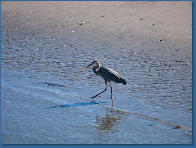 Hafen von Newport, OR