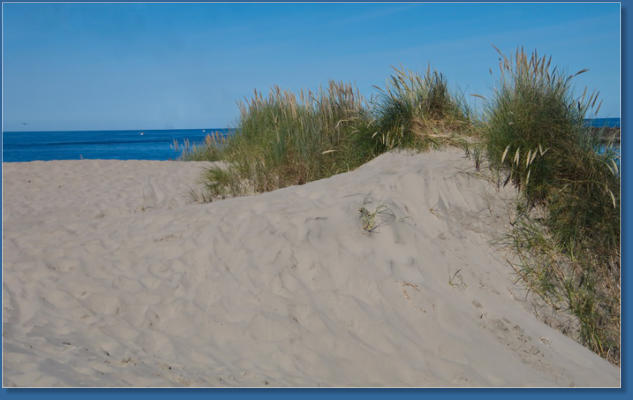 South Jetty, Newport, OR