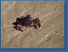 South Jetty, Newport, OR