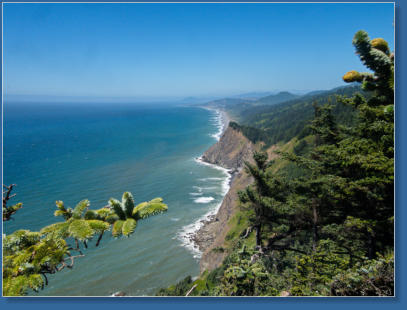 Cape Sebastian State Park.