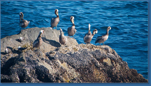 Battery Point Lighthouse, Crescent City, OR