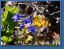 Patricks Point SP, CA