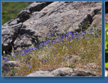 Patricks Point SP, CA