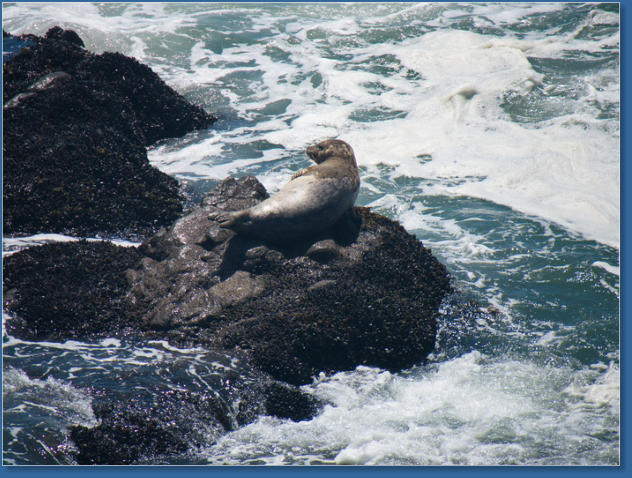 Patricks Point State Park, CA
