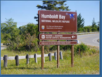 Humboldt Bay National Wildlife Refuge, CA
