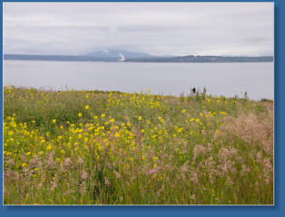 Fort Casey State Park, WA