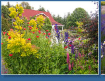 Purple Haze Lavender Farm, Sequim, WA