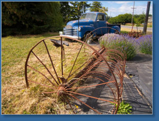 Lavendelfarm, Sequim, WA