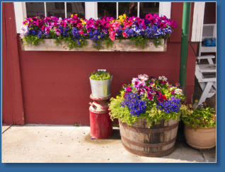 Lavendelfarm, Sequim, WA