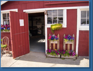 Lavendelfarm, Sequim, WA