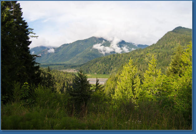 Blick Richtung Hurrican Ridge, Olympic NP, WA