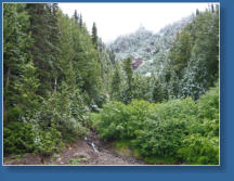 Auf dem Weg zur Hurrican Ridge, Olympic NP, WA