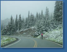 Auf dem Weg zur Hurrican Ridge, Olympic NP, WA