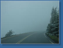 Auf dem Weg zur Hurrican Ridge, Olympic NP, WA