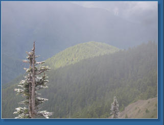 Hurrican Ridge, Olympic NP, WA