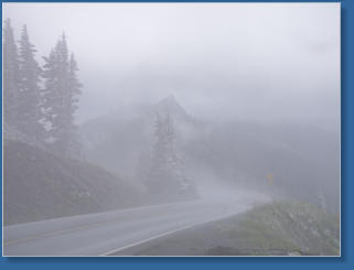 Hurrican Ridge, Olympic NP, WA