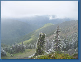 Hurrican Ridge, Olympic NP, WA