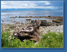 Neah Bay, Olympic Peninsula, WA