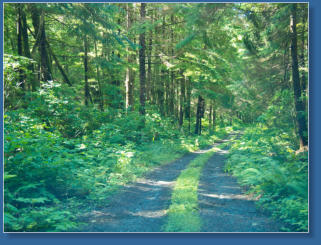 Wrong Way, Olympic NP, WA