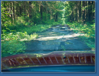 Wrong Way, Olympic NP, WA