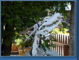 Kunst im Olympic NP, WA