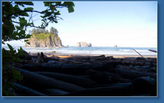 2. Beach, Olympic Peninsula, WA