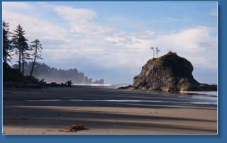 2. Beach, Olympic Peninsula, WA