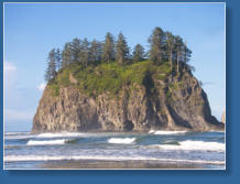 2. Beach, Olympic Peninsula, WA