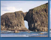 2. Beach, Olympic Peninsula, WA