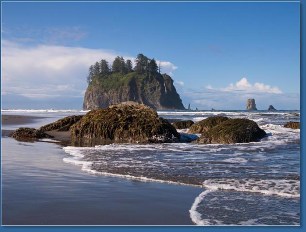 2. Beach, Olympic Peninsula, WA