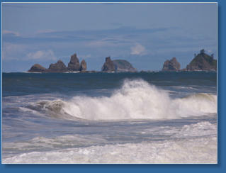 Rialto Beach, Olympic Peninsula, WA