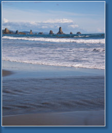 3. Beach, Olympic Peninsula, WA