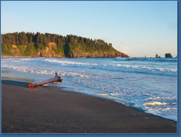 1. Beach, Olympic Peninsula, WA