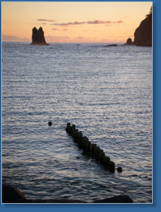 1. Beach, Olympic Peninsula, WA